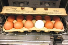 Eggs