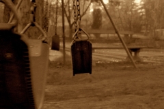 Swings